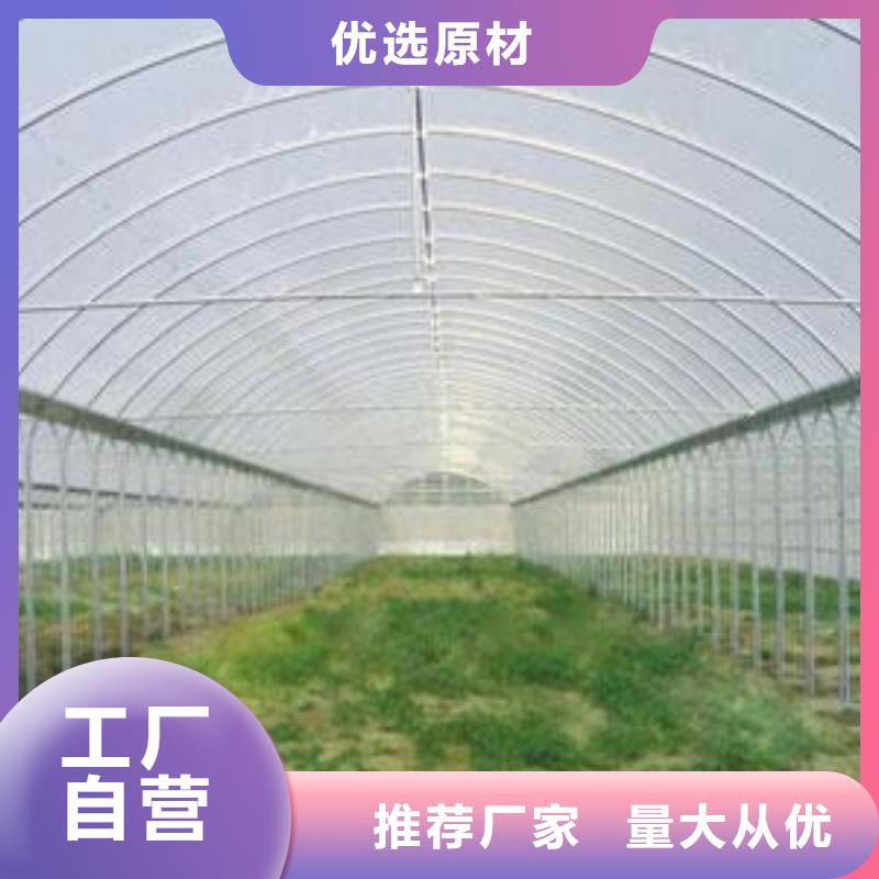 【镀锌大棚管T2紫铜排正品保障】同城生产厂家