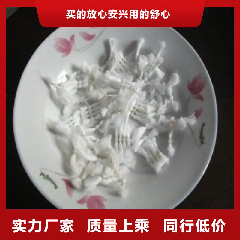 纤维球【沸石】懂您所需品质商家