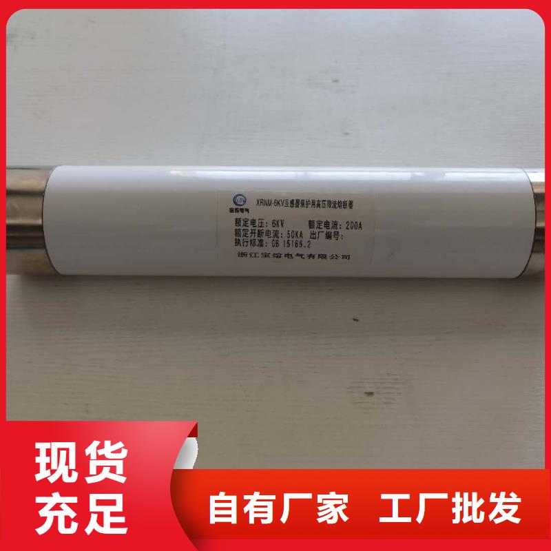 高压熔断器XRNP-10KV高压限流熔断器产地货源本地品牌