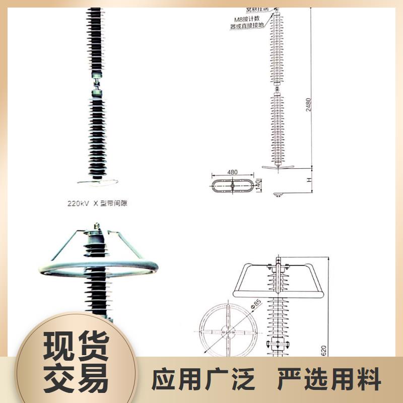 氧化锌避雷器XRNT-12KV熔断器技术先进售后无忧