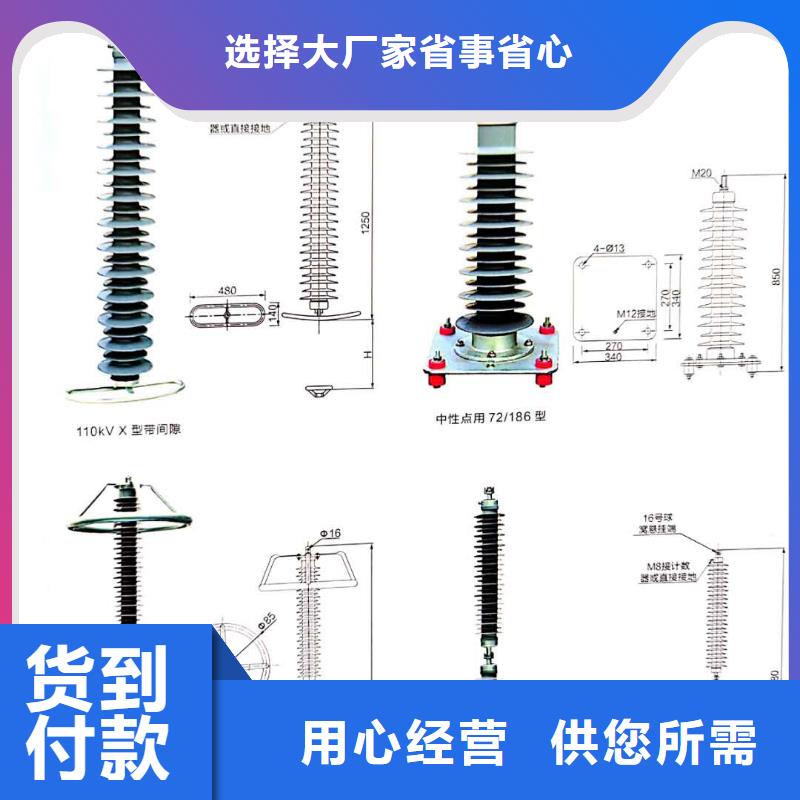 氧化锌避雷器户外高压真空断路器工厂现货供应认准大品牌厂家