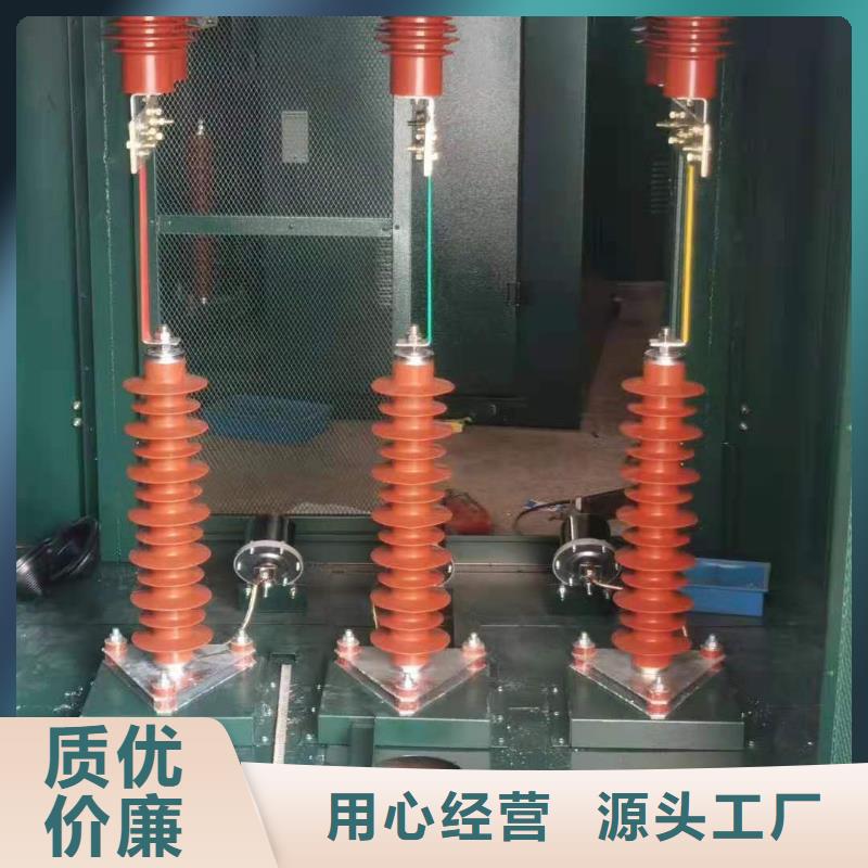 【氧化锌避雷器】_高压限流熔断器自营品质有保障当地厂家