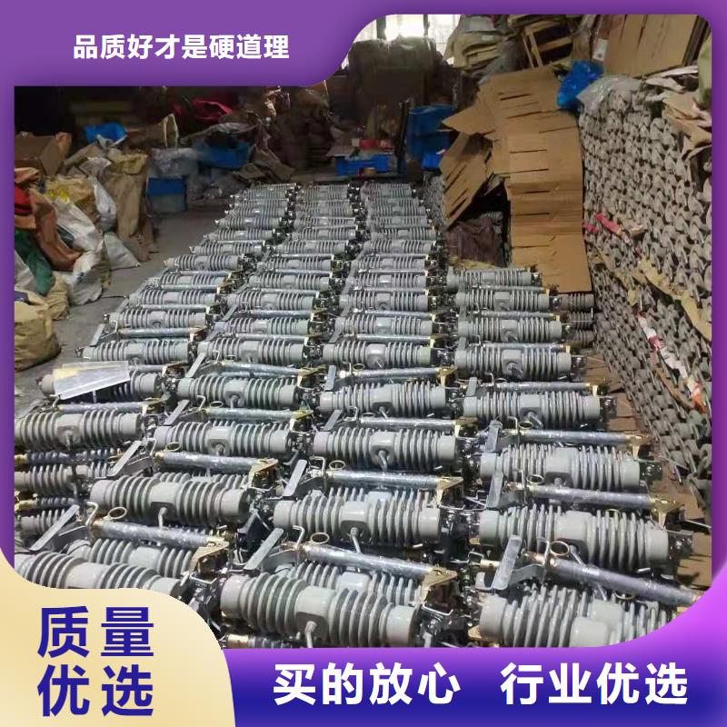 跌落式熔断器HY5WS-17/50避雷器追求品质品质保障价格合理