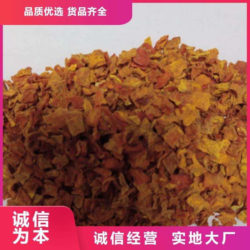 南瓜丁灵芝菌种源头厂家量大价优附近品牌