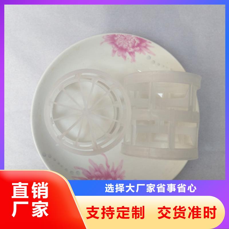 鲍尔环填料-组合填料厂家大量现货同城生产商