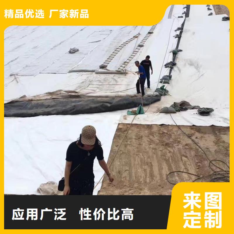 三维复合排水网土工格栅多行业适用附近生产厂家