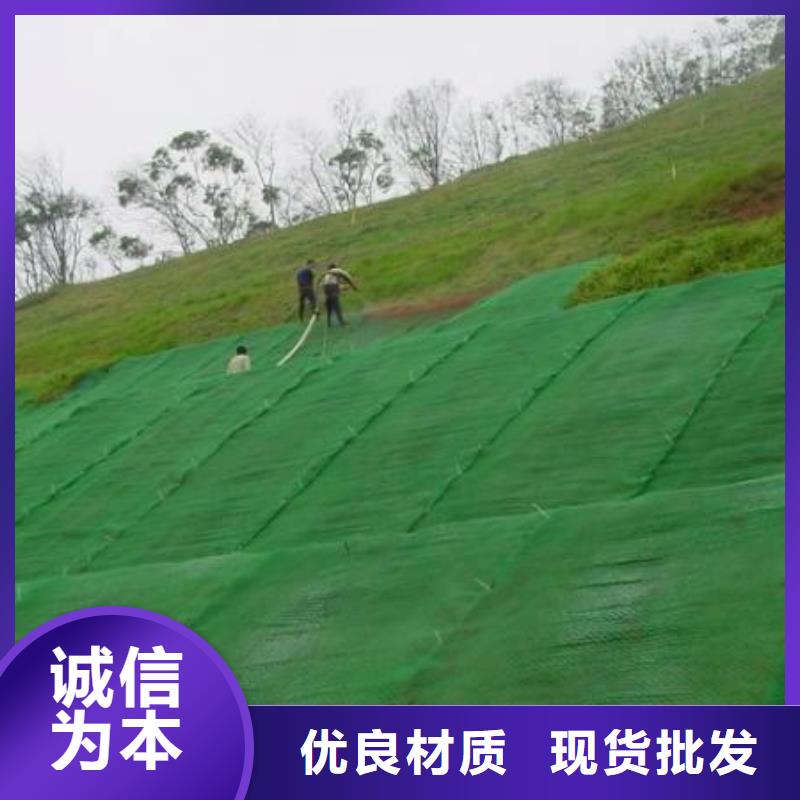 三维植被网_钢塑土工格栅可定制有保障同城供应商