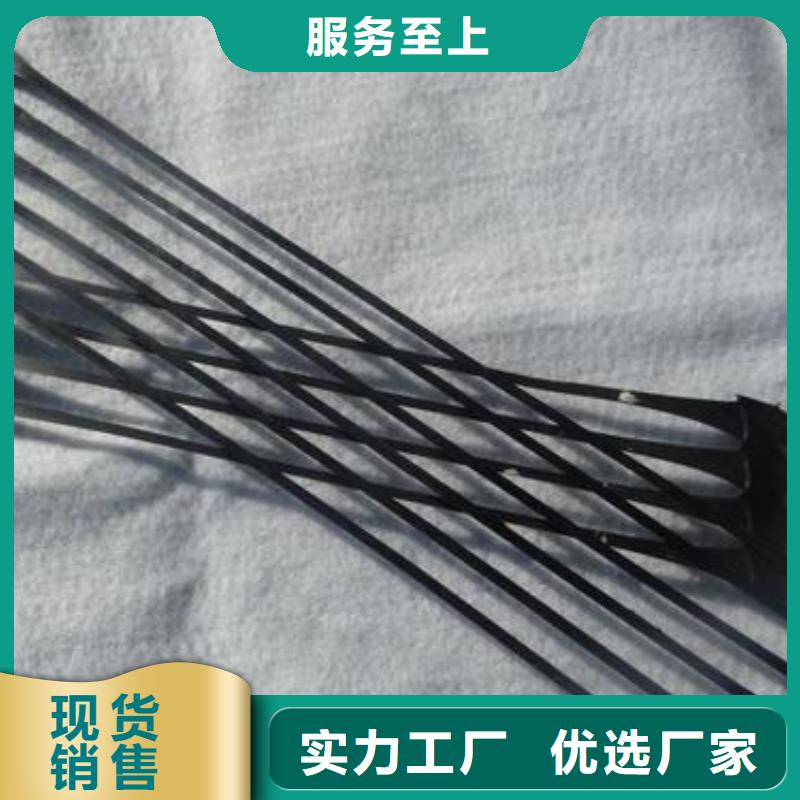 单向拉伸塑料格栅-【水土保护毯】厂家直销省心省钱按需定制真材实料