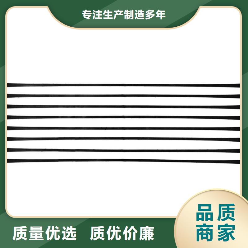 单向拉伸塑料格栅土工席垫经验丰富质量放心优质工艺