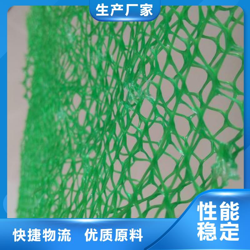 三维植被网钢塑土工格栅细节之处更加用心价格实惠