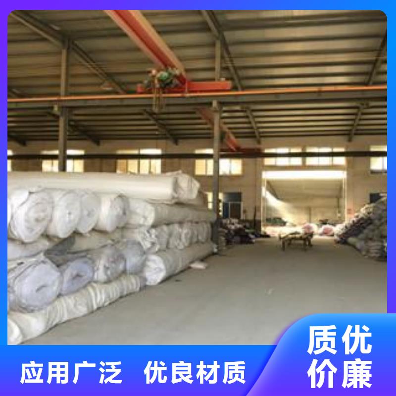 【膨润土防水毯】复合土工膜服务周到专业供货品质管控