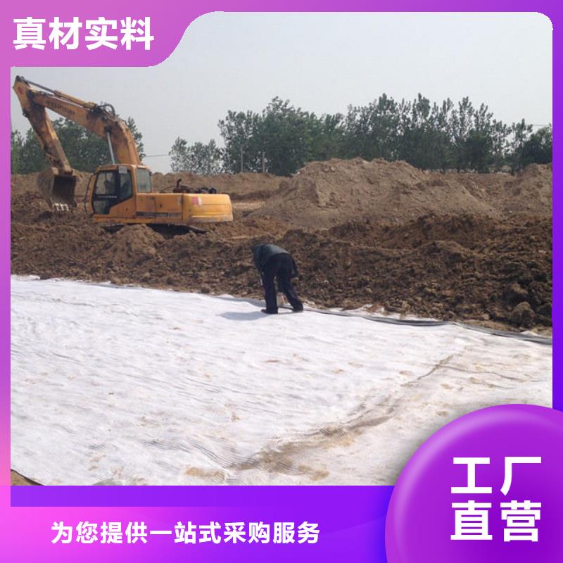 【防水毯-玻纤土工格栅服务周到】本地生产商