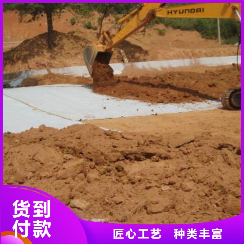 防水毯钢塑土工格栅厂家品质值得信赖本地货源