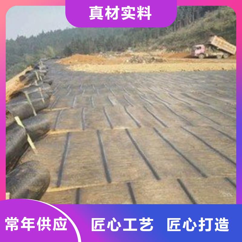 【土工格栅】钢塑土工格栅厂家专注细节更放心附近公司