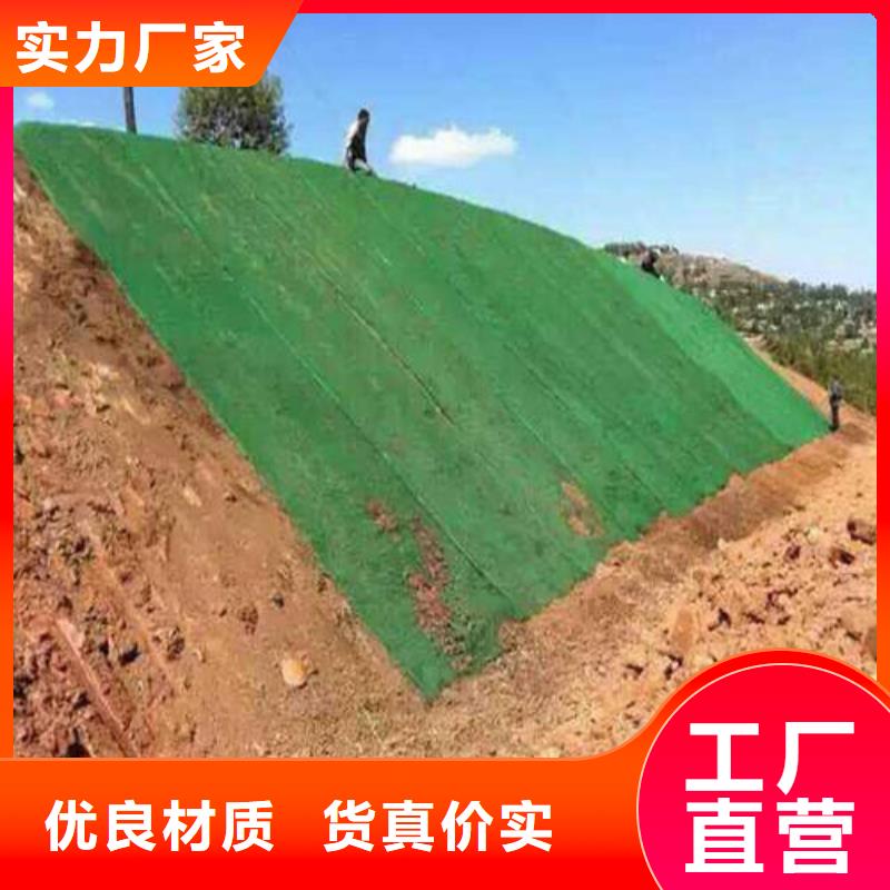 三维植被网-玻璃纤维土工格栅型号全价格低当地生产厂家