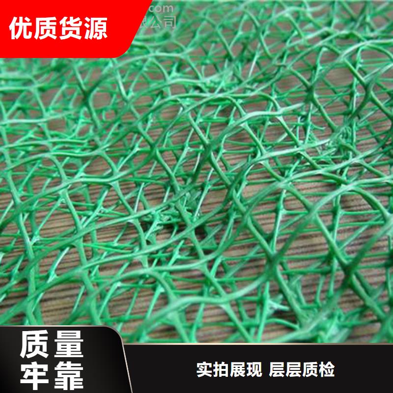 三维植被网多向塑料土工格栅应用广泛自主研发