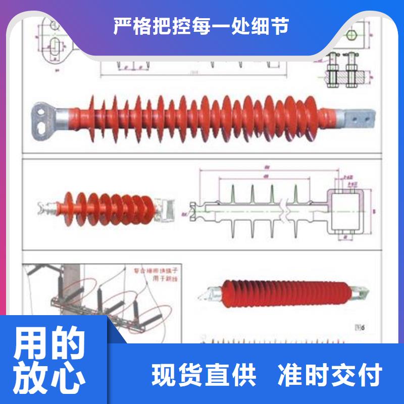 绝缘子氧化锌避雷器好产品不怕比可定制有保障