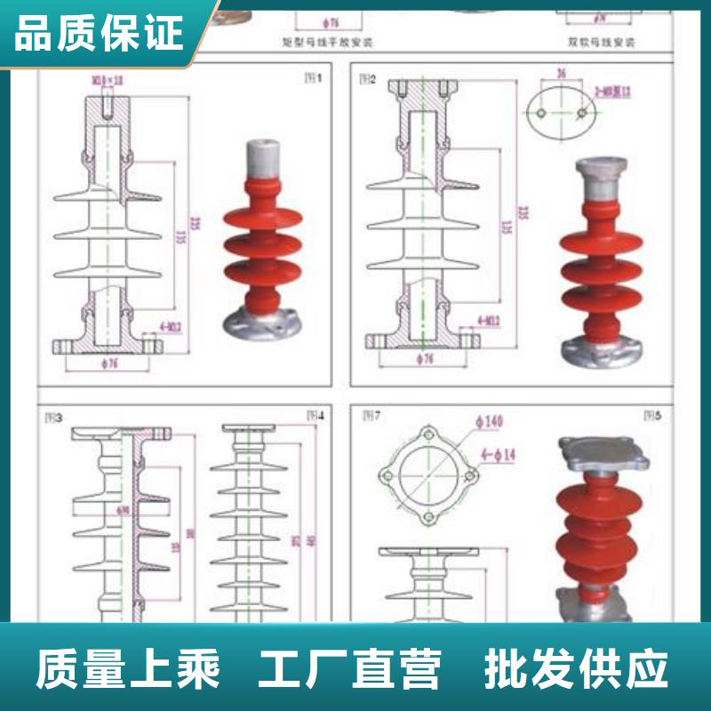 绝缘子高低压电器定制定做当地公司