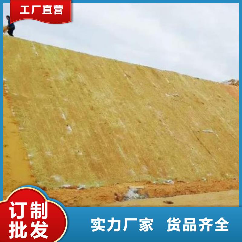 日照鑫海河道植物纤维毯满足多种行业需求严选材质