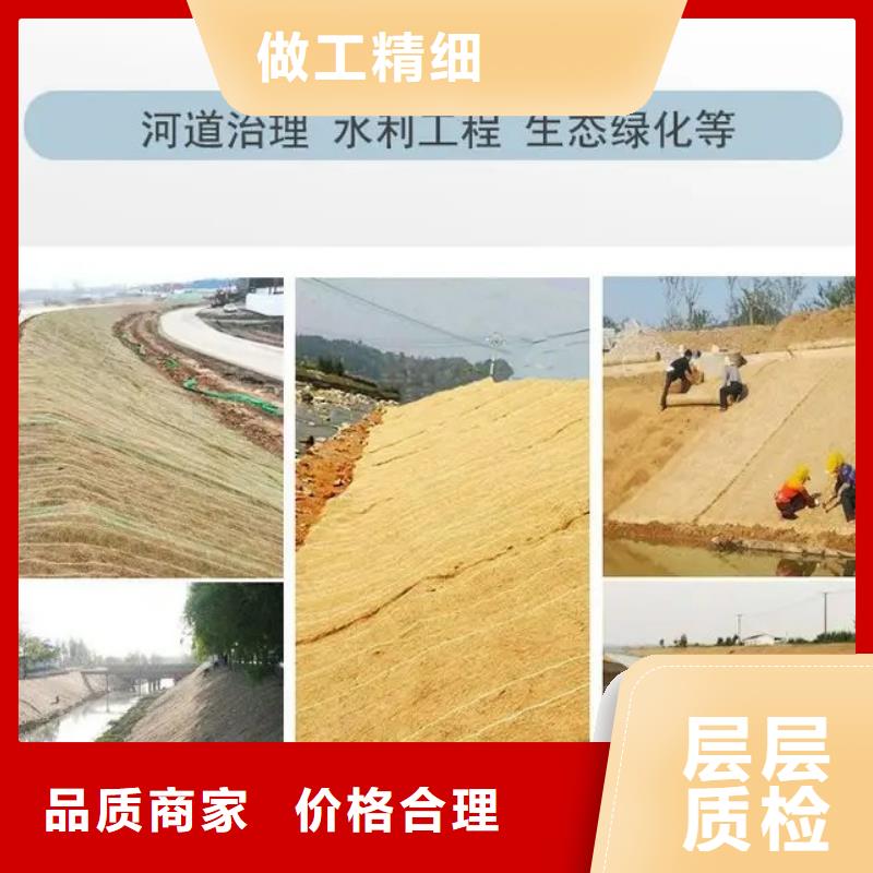 广安鑫海纤维植物毯专注细节专注品质源头厂商