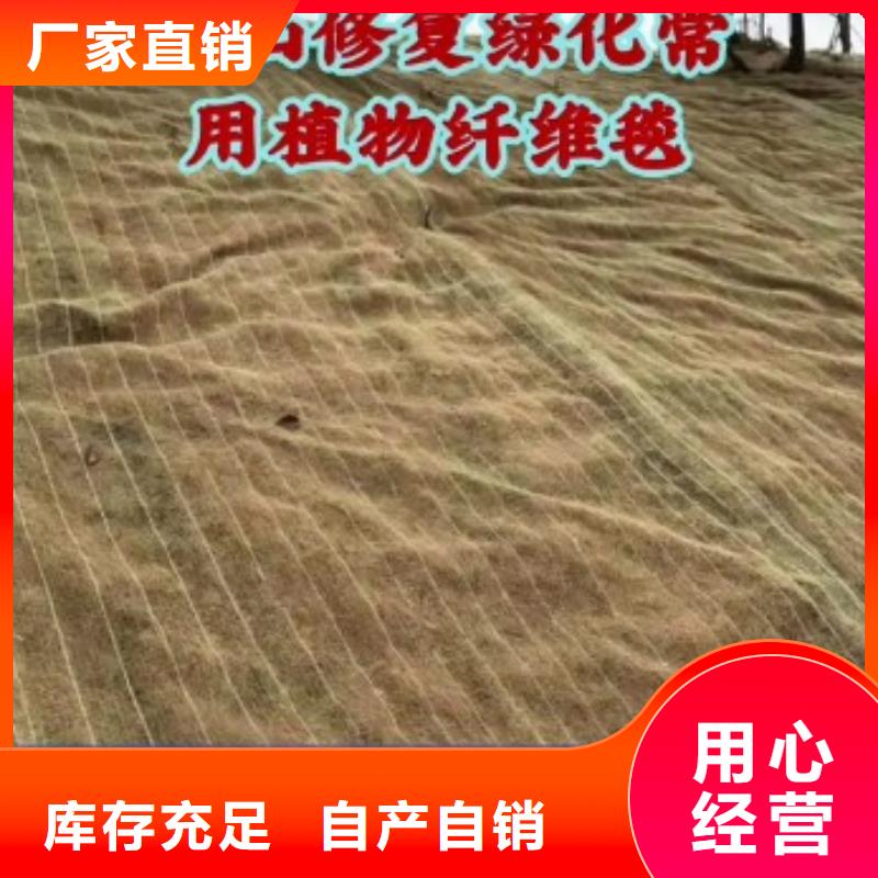 临汾鑫海护坡植被植草毯厂诚信经营源头厂商