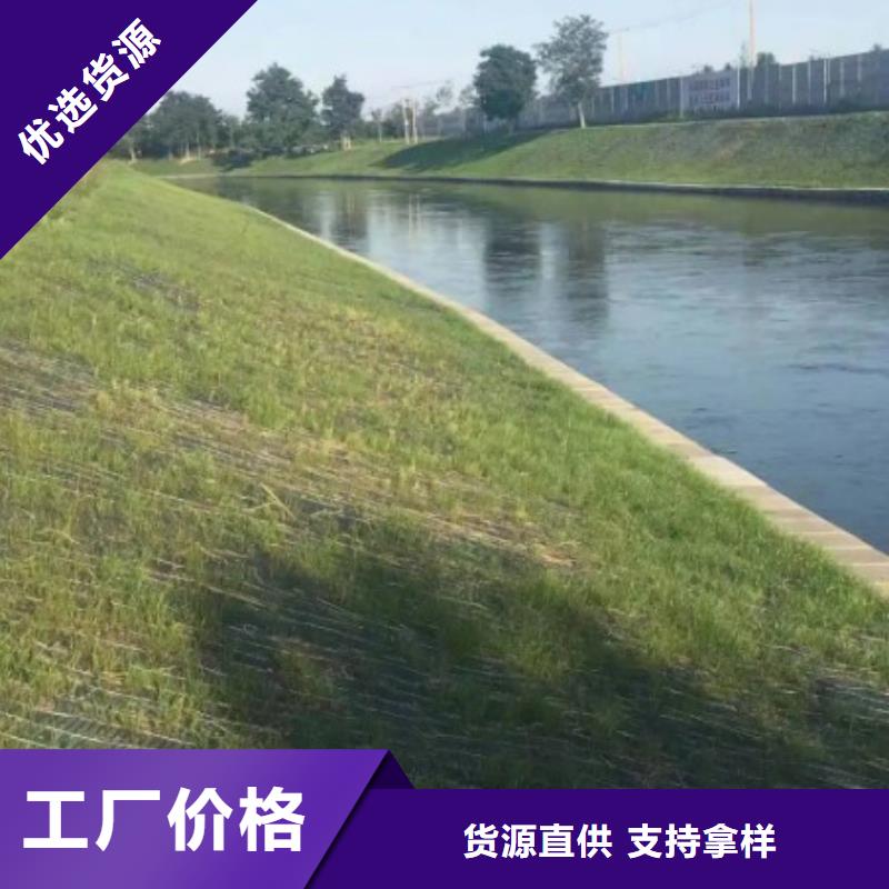 百色鑫海河道植物纤维毯助您降低采购成本品牌专营