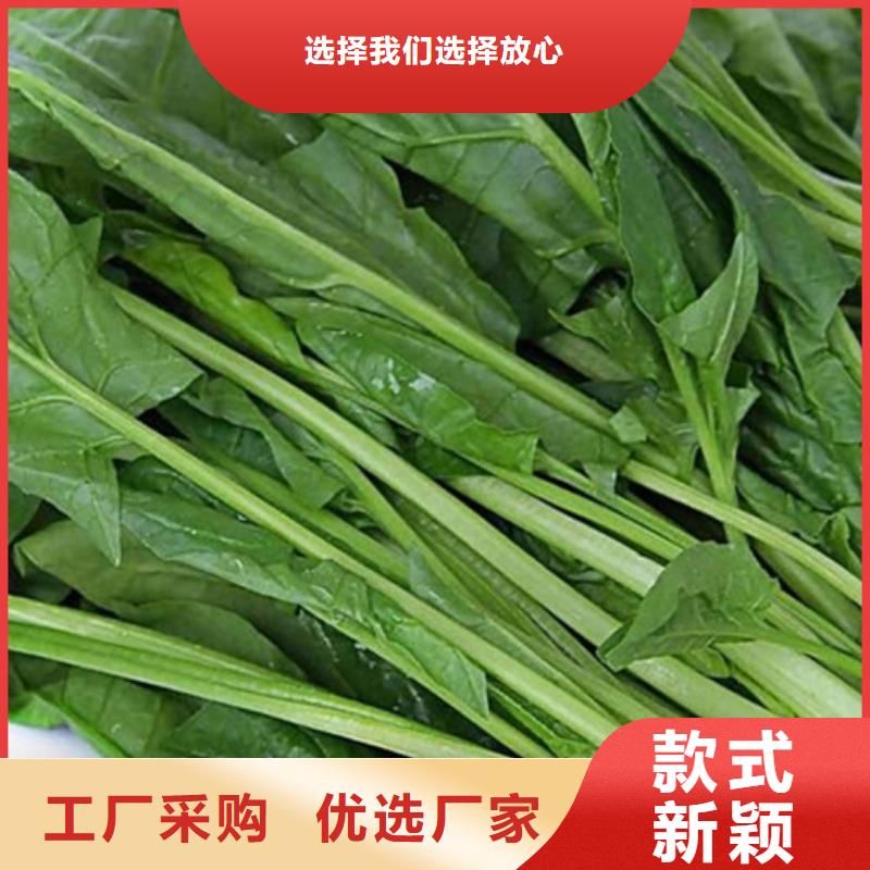 脱水蔬菜诚信企业用心做产品