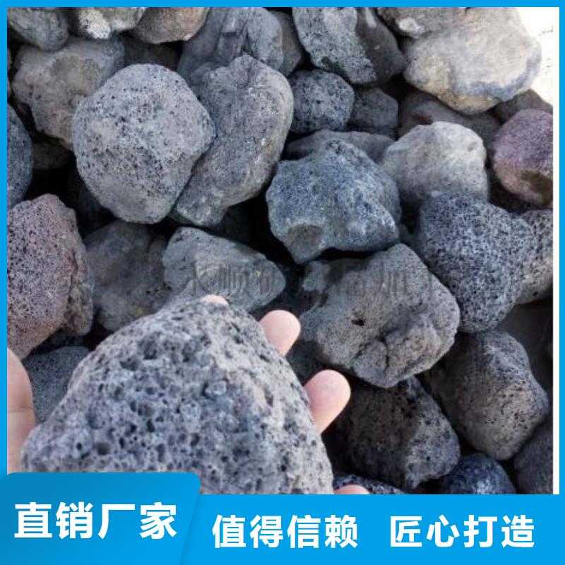 活山岩_煤质活性炭源头厂家经验丰富本地供应商