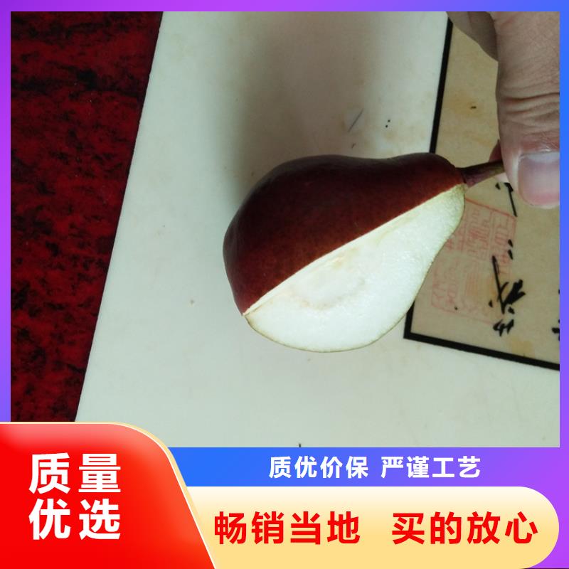 梨树,李子苗真诚合作优质工艺