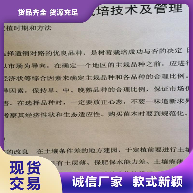 树莓葡萄苗源头实体厂商当地生产商