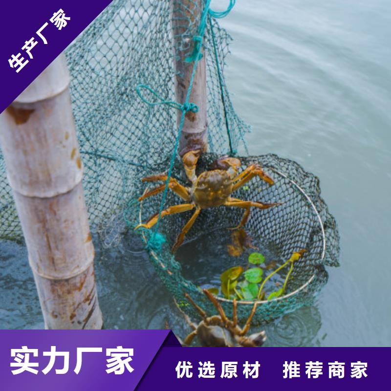 苏州阳澄湖大闸蟹哪家比较正宗本地经销商