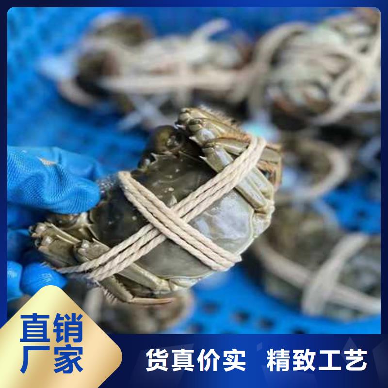 苏州阳澄湖大闸蟹哪家便宜好吃库存充足