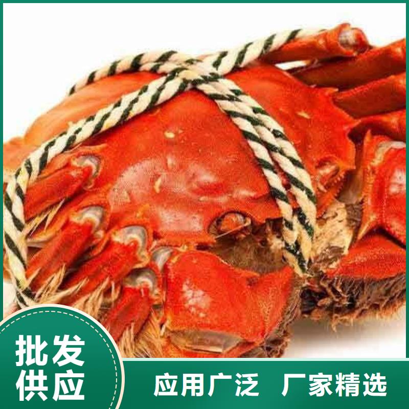 沂南蟹哪里有卖阳澄湖大闸蟹放心购