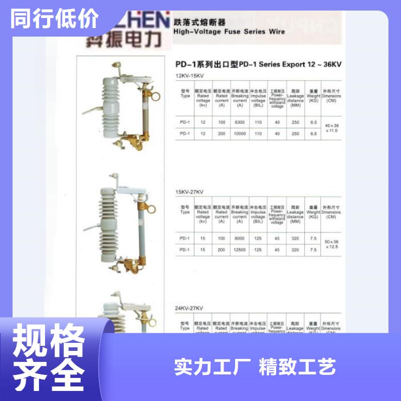 熔断器35KV真空断路器好品质售后无忧优质原料