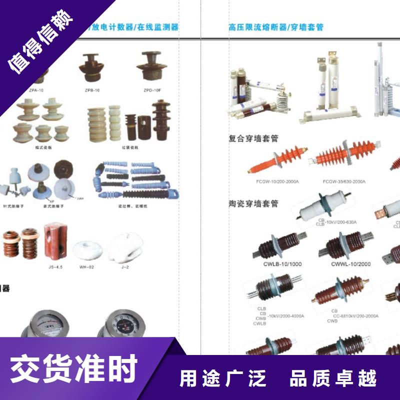 高压隔离开关_三相组合式避雷器同行低价适用范围广