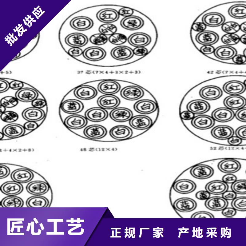 【铁路信号电缆】-信号电缆为您提供一站式采购服务价格实在