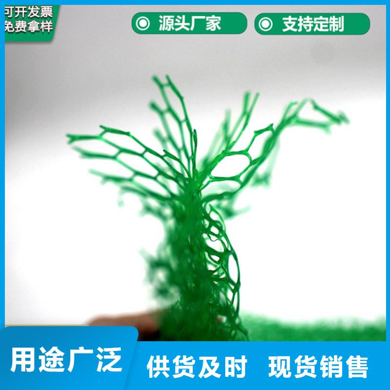 三维植被网【【水泥毯】】现货直发严选用料