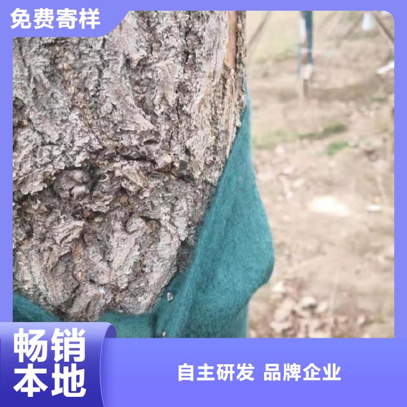 裹树布【防渗土工膜】量大更优惠源头直供