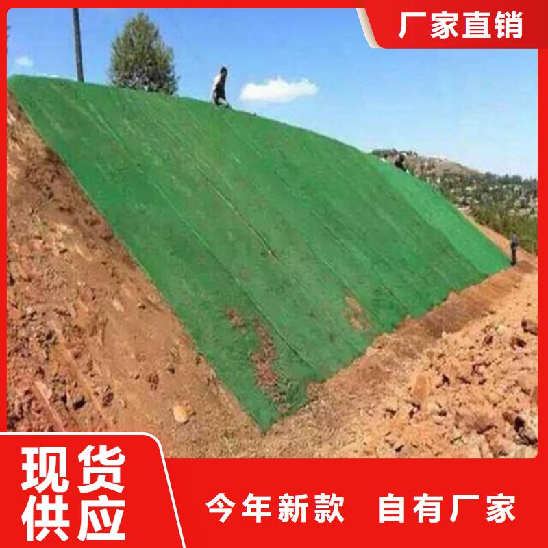 三维植被网_【土工格栅】工厂现货供应本地公司