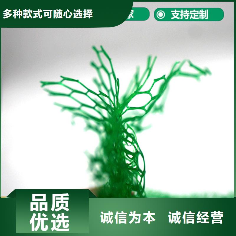 三维植被网软式透水管厂家供应厂家