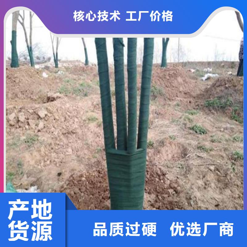 【裹树布】土工网应用范围广泛附近供应商