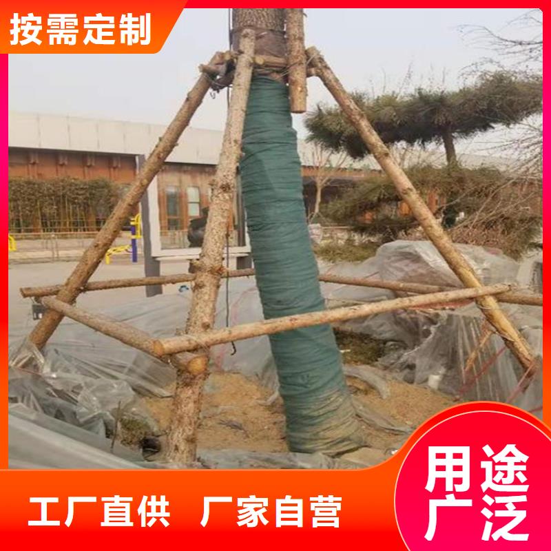 【裹树布】膨润土防水毯匠心打造实力见证