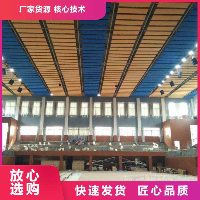 多功能体育馆声学改造方案--2024最近方案/价格厂家直销大量现货