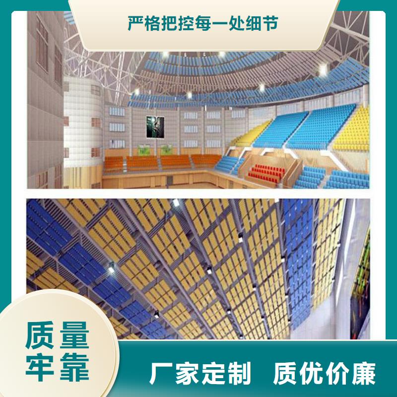 广东省汕头市金霞街道大型体育馆声学改造方案--2024最近方案/价格本地服务商