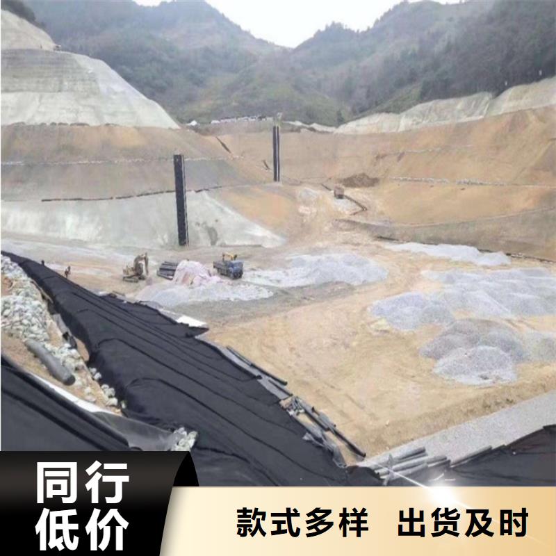 【土工膜_钢塑土工格栅诚信经营质量保证】当地厂家