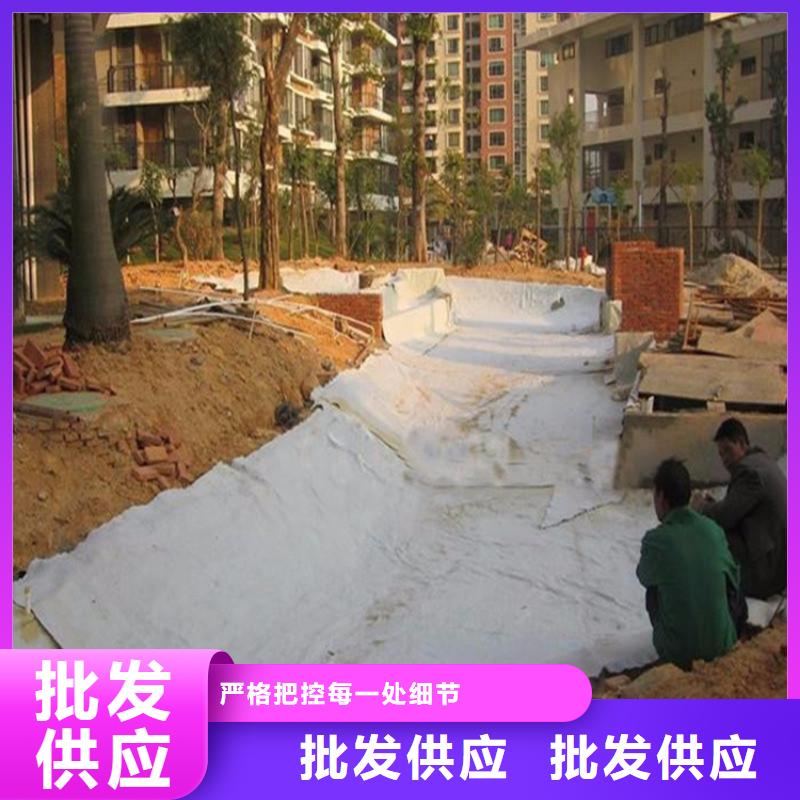 膨润土防水毯防水毯诚信经营现货现发当地服务商