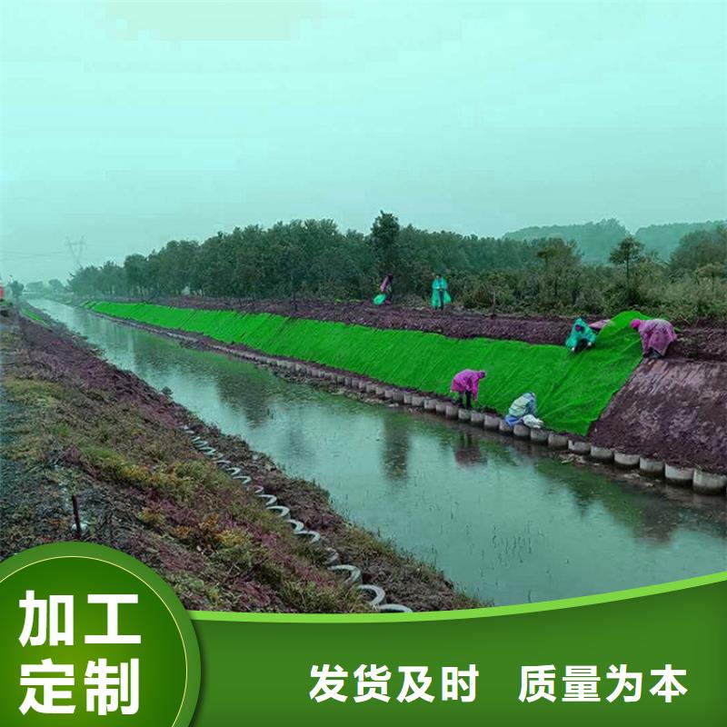 【三维植被网】防水板工厂价格货品齐全