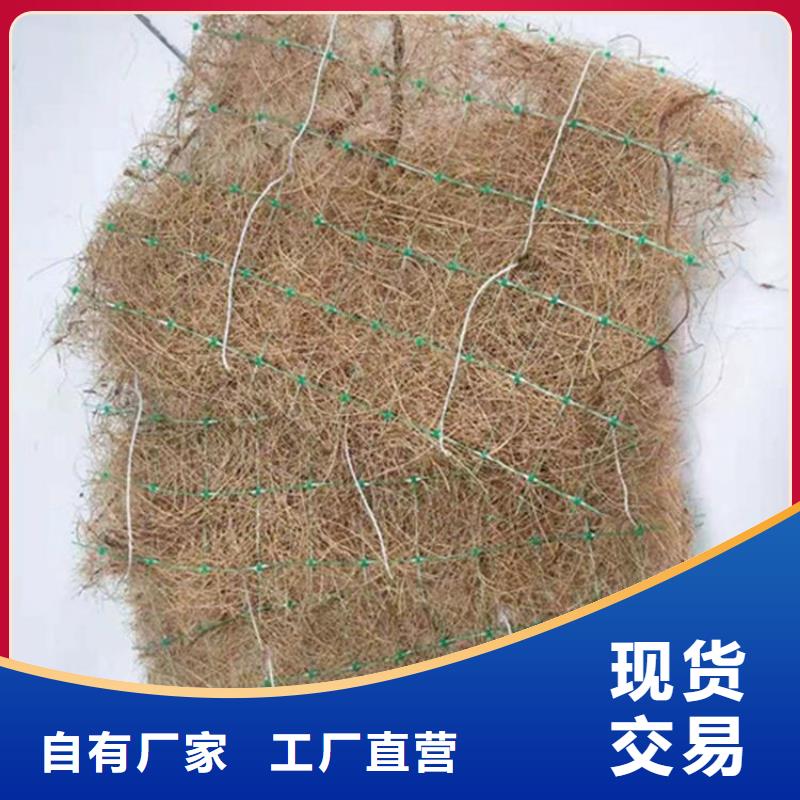 椰丝毯土工布服务始终如一工程施工案例