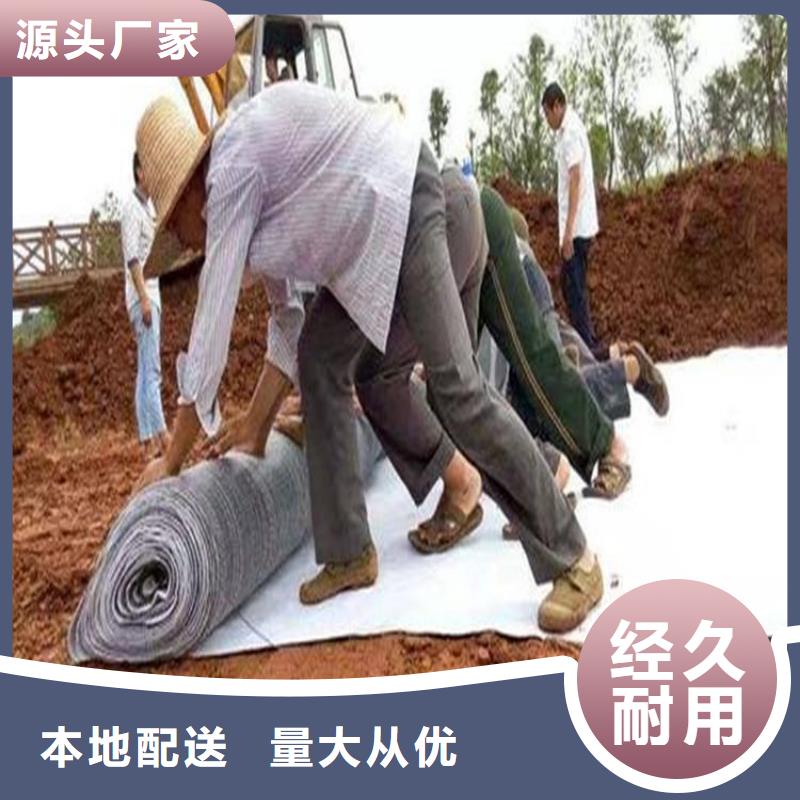 膨润土防水毯【双向土工格栅】客户好评当地生产厂家