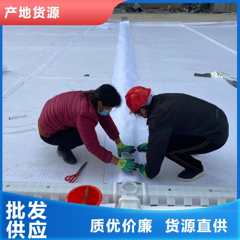 ​【排水板塑料排水板标准工艺】当地制造商